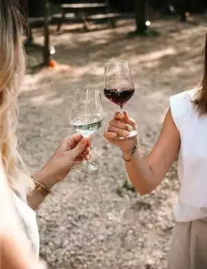 Cave de l'Abbé Rous - AOP Côtes du Roussillon